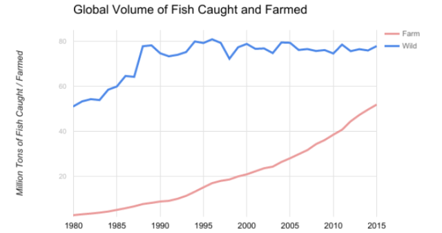 Global Volume of Fish Caught and Farmed