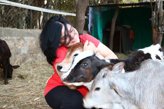 People for Animals — India Animal Welfare Reform - Open Philanthropy